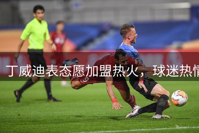 丁威迪表态愿加盟热火，球迷热情招募引热议