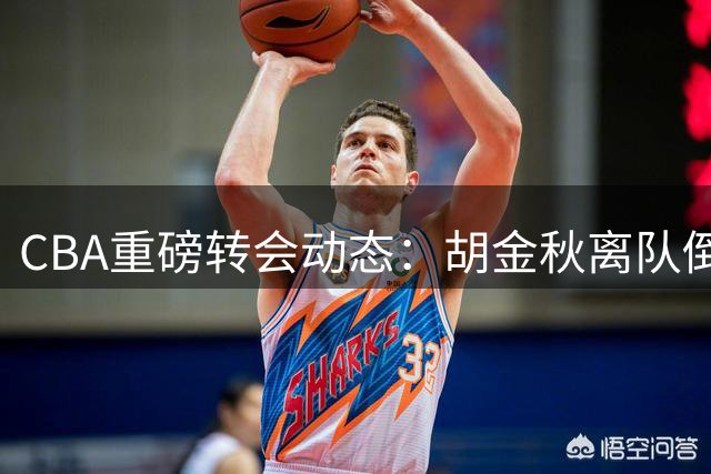 CBA重磅转会动态：胡金秋离队倒计时？上海山西展开争夺战
