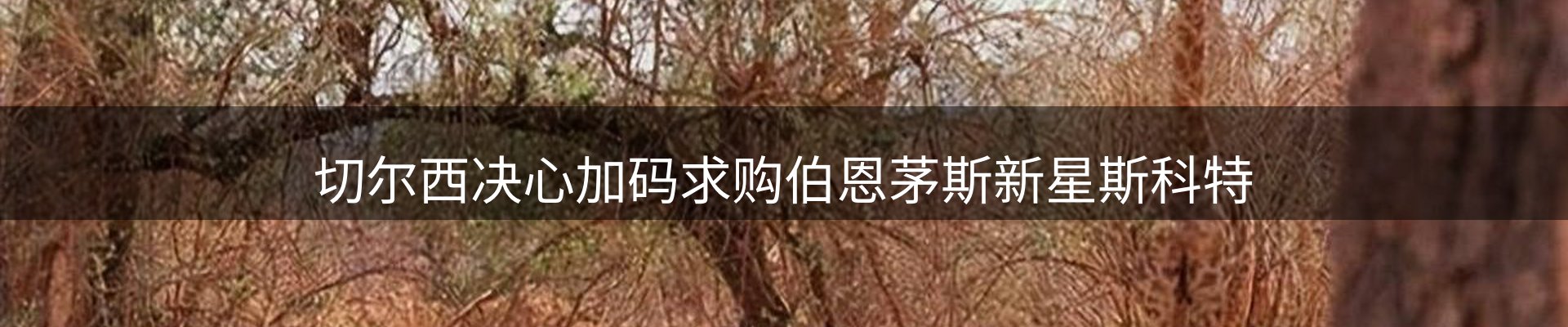今日资讯