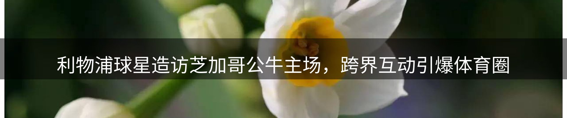 今日资讯