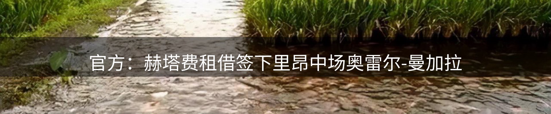 今日资讯