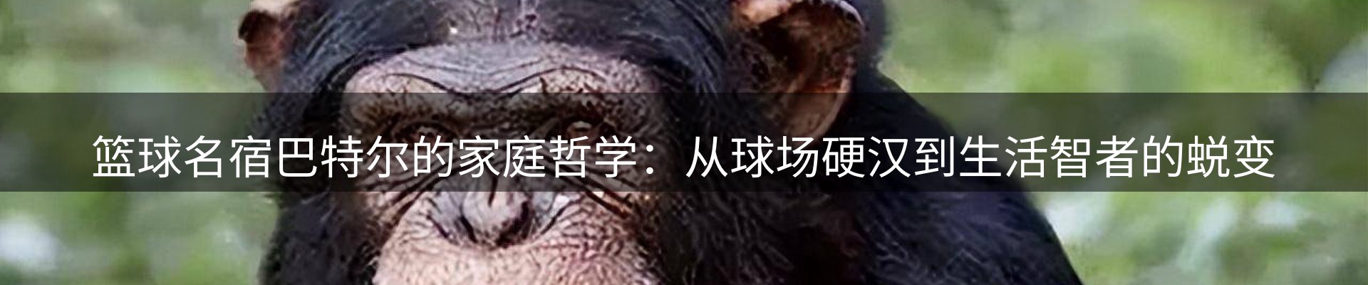今日资讯
